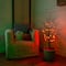 3ft. Pre-Lit Artificial Halloween Black Twig Tree with 18 Orange LED Pumpkin Shaped Lights